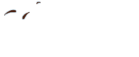 Czekoladowa fontanna Kraków